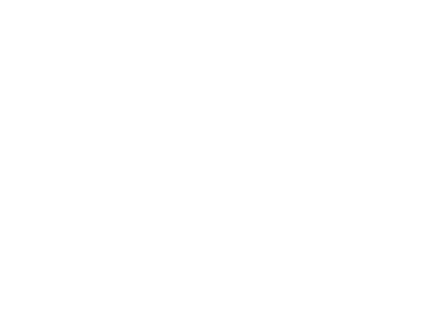 řadovka detailing